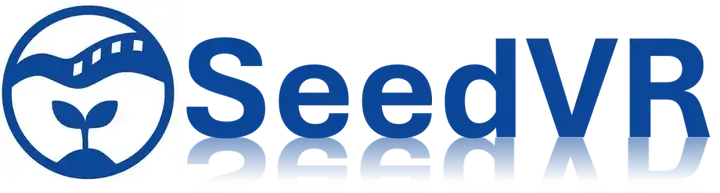偶然间发现了一个很逆天的东西—SeedVR2
