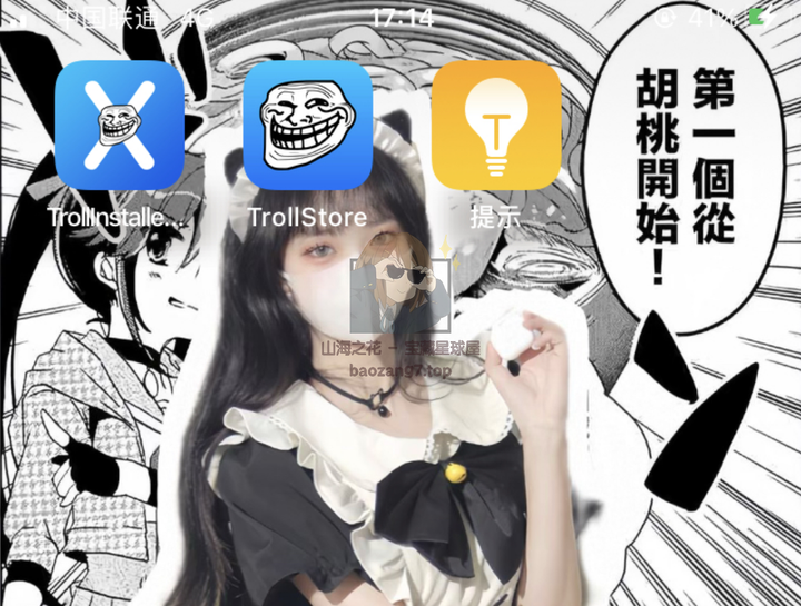 图片[11]-〔iOS〕TrollInstallerX（巨魔x）保姆级安装教程+IPA文件安装-山海之花 - 宝藏星球屋