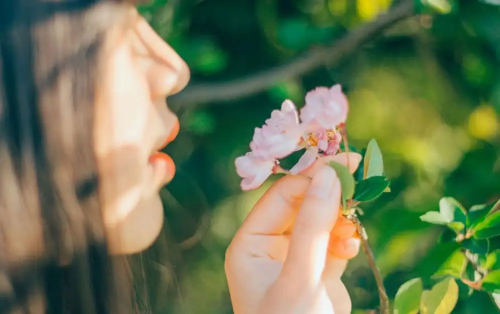 有哪些推荐的花香味的香水？ - 知乎