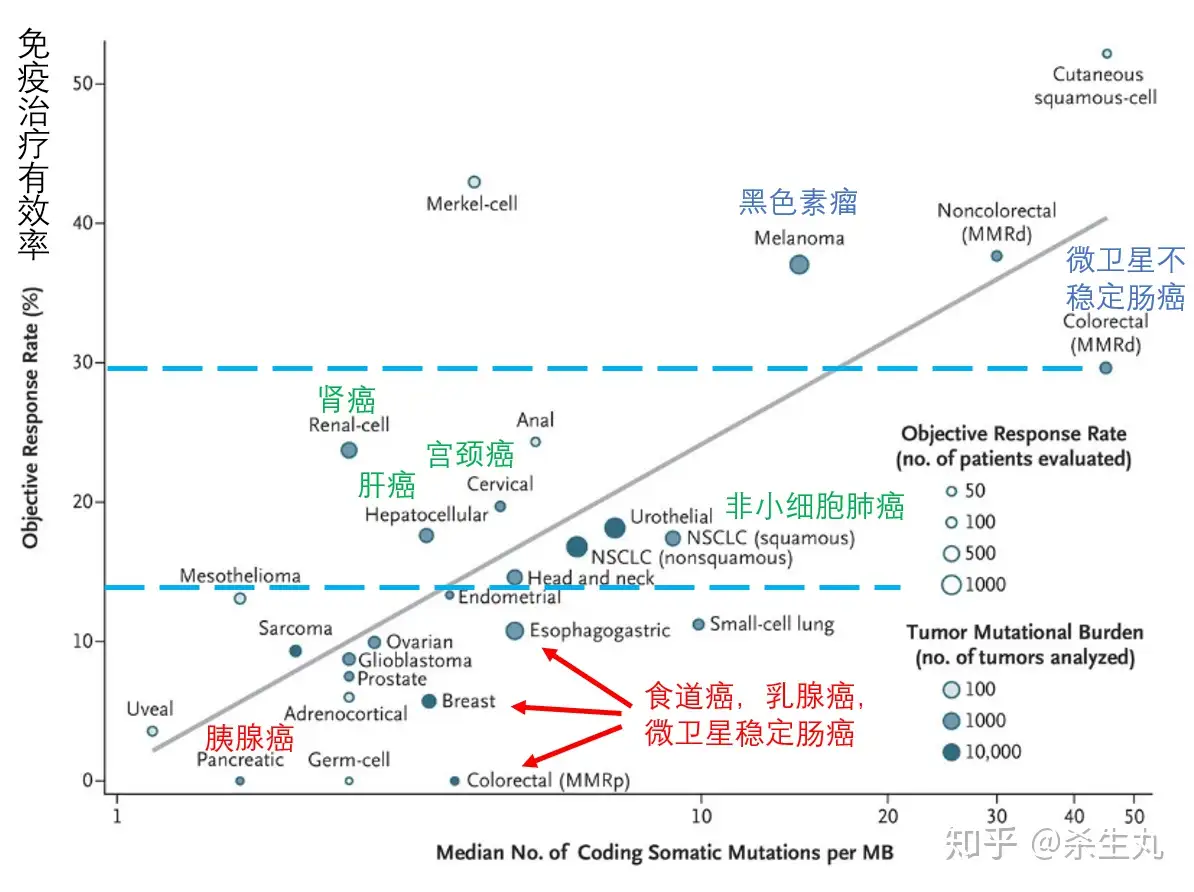 怎么看待2018 年免疫疗法治疗癌症的效果？ - 知乎