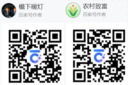 图片[4]-公众号视频号百家号头条号大鱼号各自媒体平台互关互粉互动互赞QQ微信群-墨铺