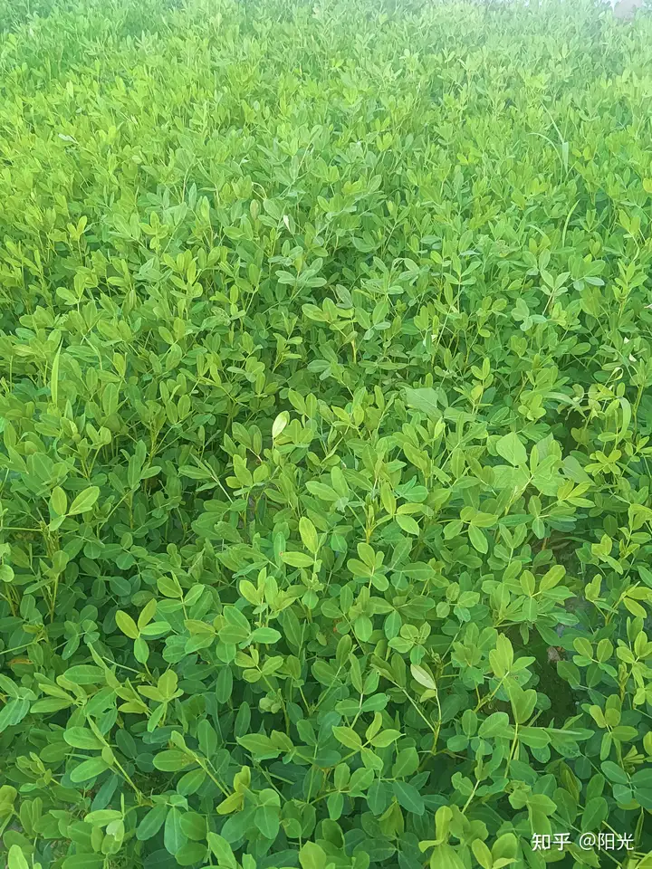 南理工和西电哪个好? - 知乎