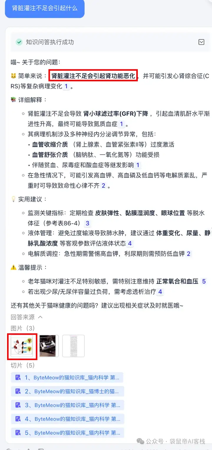 RAG天花板！从0到1打造商用Agent【喂了1G资料】