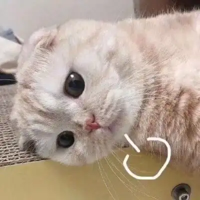 对于90,00后有哪些社会刻板印象? - 知乎