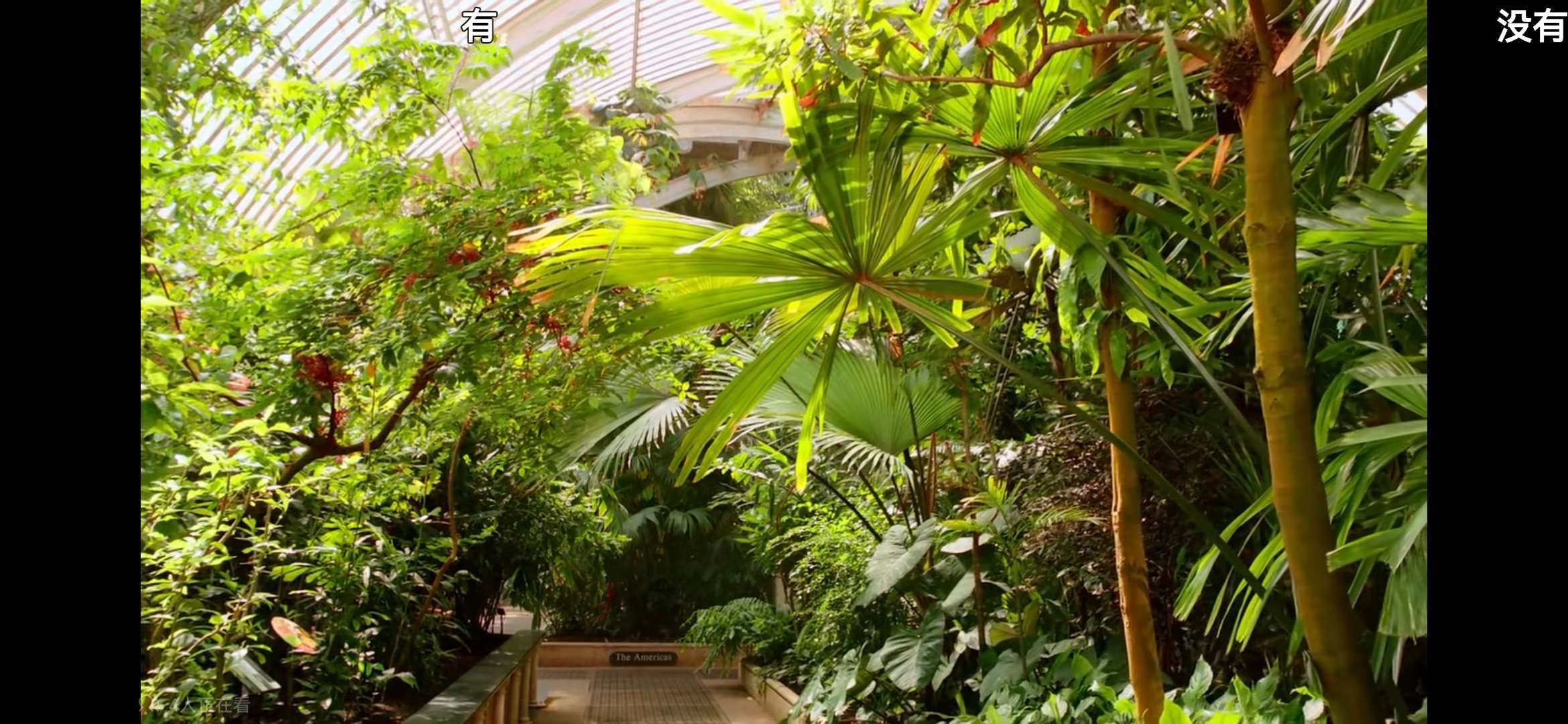 泡沫 的想法 强烈推荐《植物王国 这几天大家都 知乎