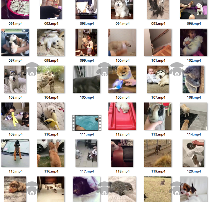 图片[6]-萌宠素材动物猫咪宠物搞笑抖音短视频直播高清无水印剪辑起号用素材【电商热销561】-暗冰资源网