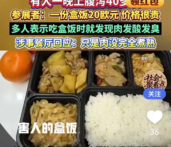 德国展盒饭致中国人中毒事件，这碗高价盒饭到底藏着多少漏洞插图
