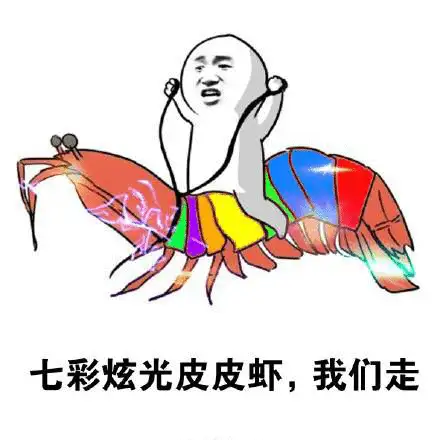 为什么人脑想象不出四维空间