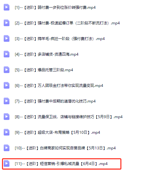图片[5]-大炮电商-拼多多全阶实战课程2025年6月_-吾爱副业网