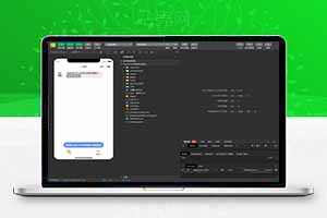 ChatGPT微信小程序源码支持流量主广告