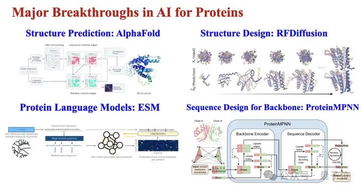 AI蛋白质设计前沿教程，AAAI'25三大机构携手4小时全面剖析