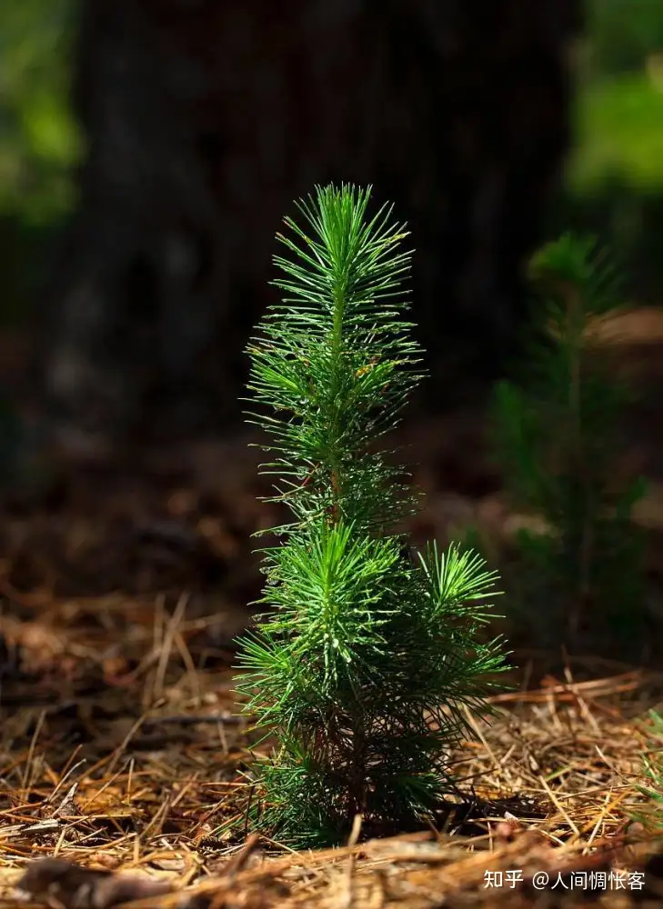 普通人的一生该如何破局?