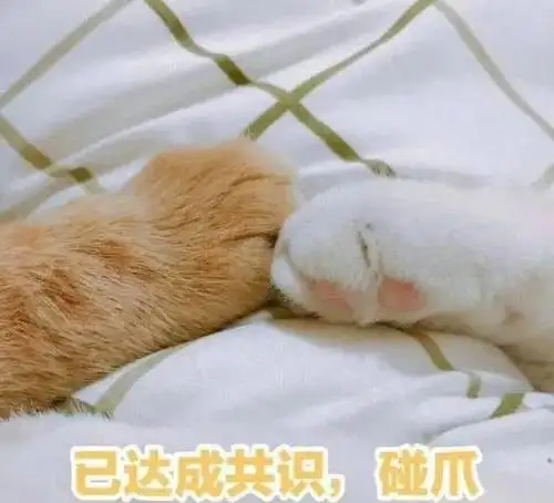 夏至这天应该吃些什么？
