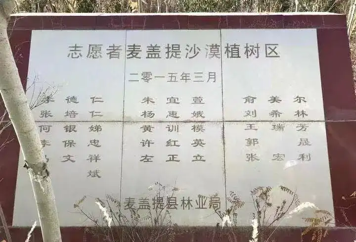 春风十里一植有你|立得空间助力麦盖提筑造瀚海绿洲