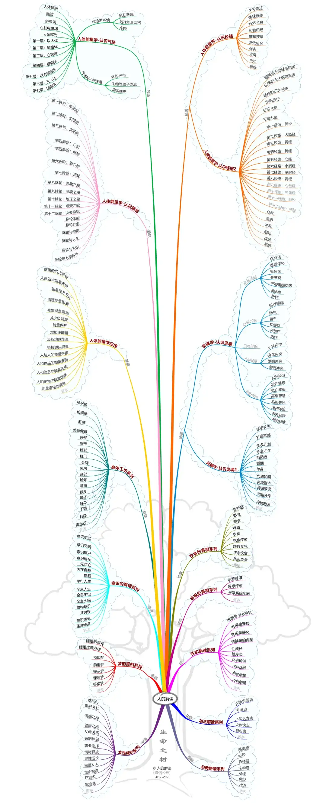 长了八年的生命树,助力你的人生路-人的解读