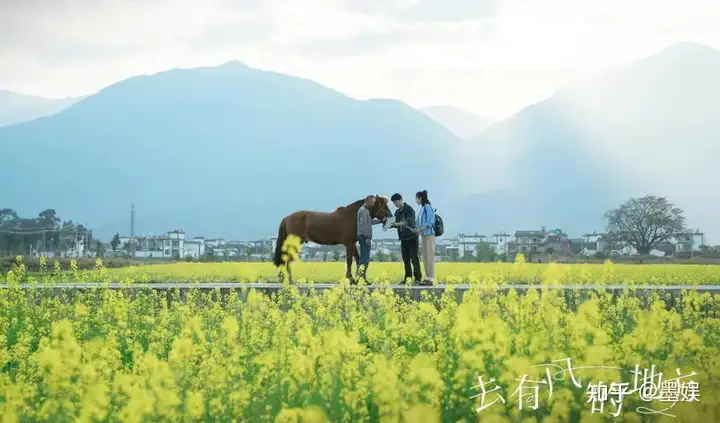 《去有风的地方》观感度如何？(有风的地方有暖阳歌词)