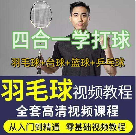 图片[1]-羽毛球篮球台球乒乓球全套高清视频教程-打羽毛球乒乓球篮球网球台球视频教程新手入门零基础动作训练课程【电商热销688】-暗冰资源网