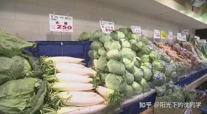日元贬值创新低，游客赴日扫货「一个包便宜三千」，而日本物价上涨，一颗白菜 100 元，如何看待此事？