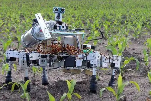中国农用机器人作为高新科技，市场规模有望突破10亿元