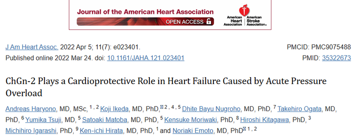 ChGn-2（硫酸軟骨素N-乙酰氨半乳糖胺基轉(zhuǎn)移酶2）在急性壓力超負(fù)荷引起的心力衰竭中起心臟保護(hù)作用