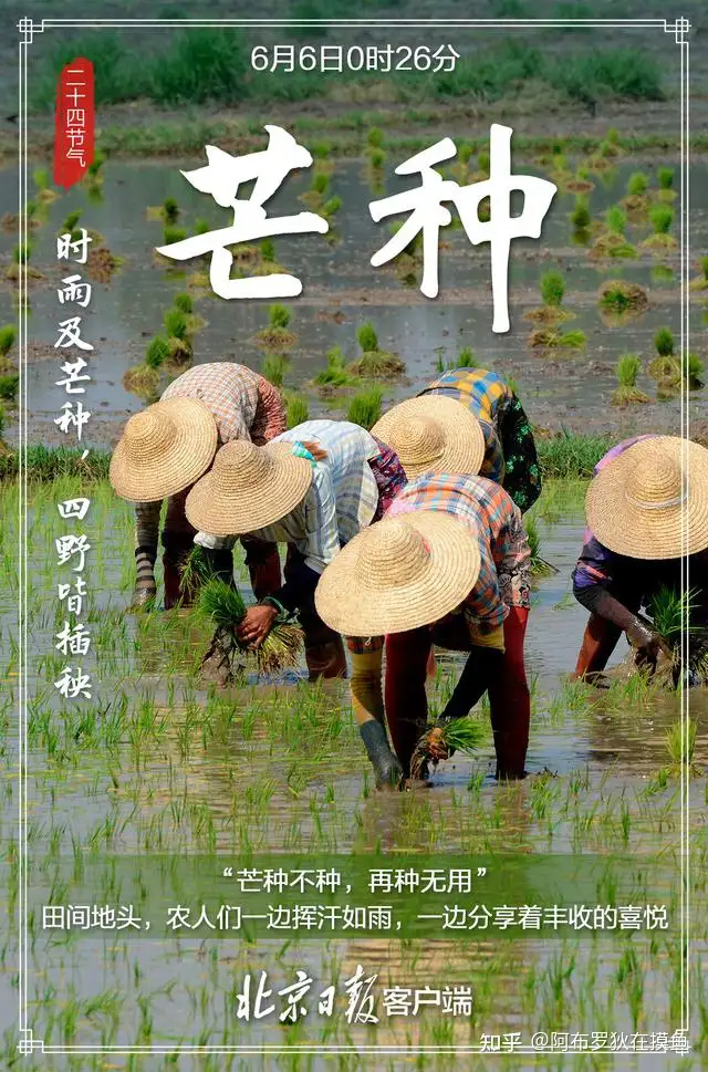芒种也称「忙种」，这一天对农事耕种意味着什么？民间都有哪些传统习俗？
