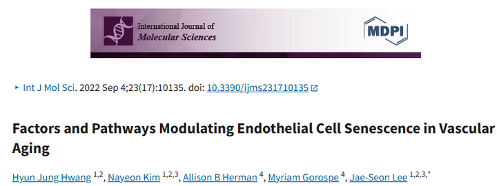 血管衰老中调控内皮细胞衰老的因素与通路 血管衰老中调控内皮细胞衰老的因素与通路