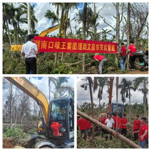 口味王集团获海南省纪委表彰：抗风救灾显担当，共筑美好家园