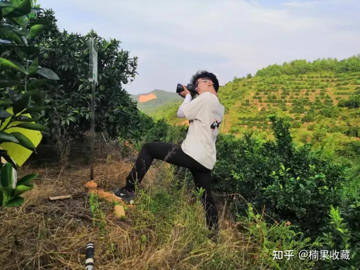 如何轻资产批量孵化三农直播带货账号?