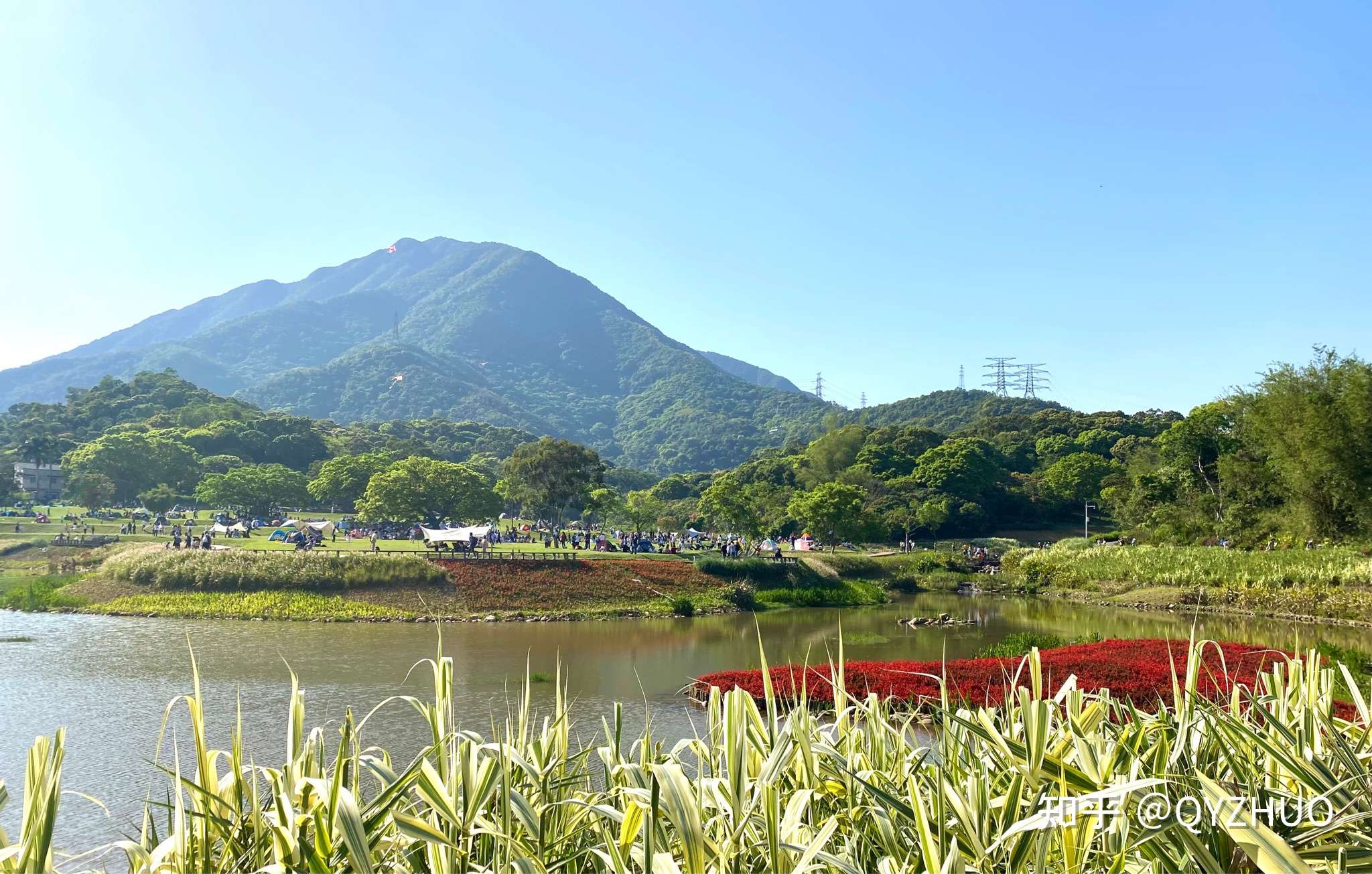 qyzhuo 的想法: 盐田半山公园带,恩上湿地公园 - 知乎