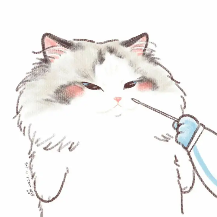 有没有超棒的微信头像？