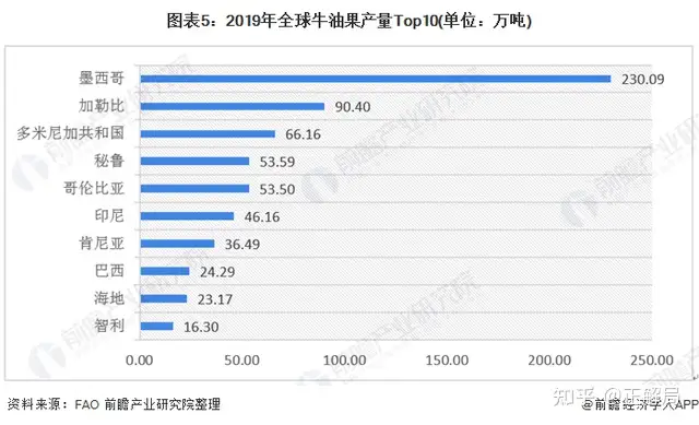 牛油果，近年来新兴的网红水果 - 墨华网 (图5)