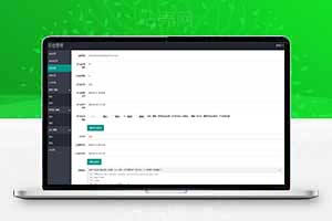 免挂机V免签二开版兼容所有易支付接口，2025修复版