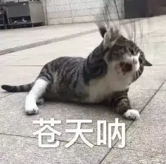 AI搜索一夜变天，专为Agent做搜索的赛道能否诞生百亿美金新巨头？