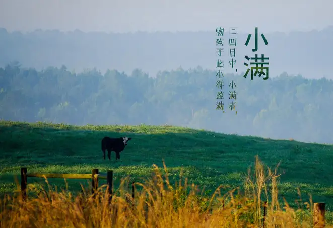 24节气对应吃什么食物？