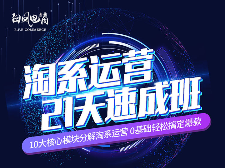 白凤电商-淘系运营21天速成班2025年5月更新(价值4999元)_-就爱副业网
