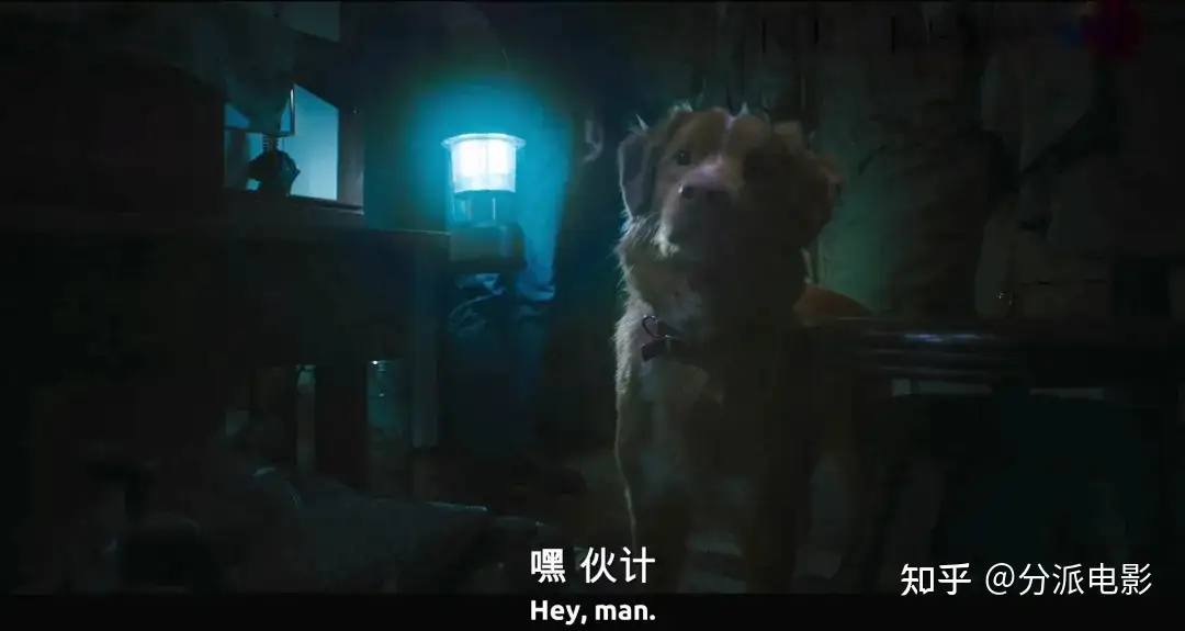 《冷猫狗》今年最颠覆！限制级禁忌挑战