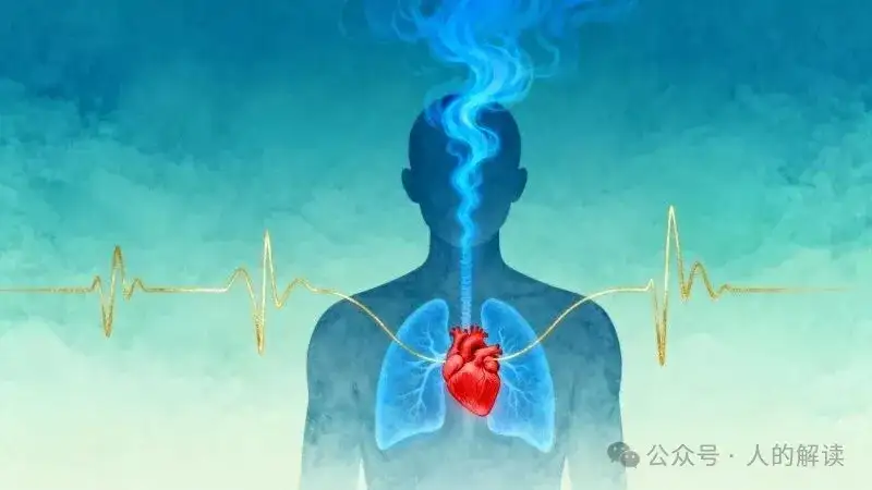 神奇的心脑同步性，合一的奥秘远超想象-人的解读