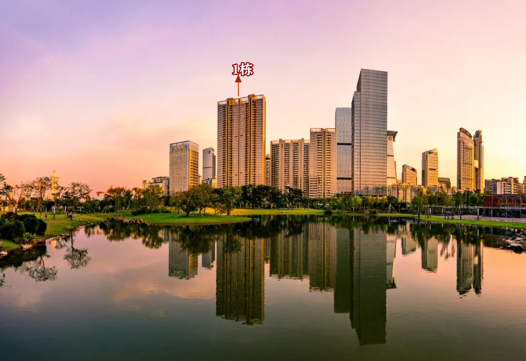 龙少教你买深房 的想法: 龙少,为什么深业中城关注度这么高?