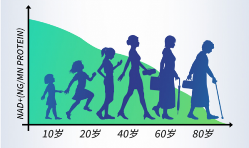 随便买的NMN吃了有用吗？深度解析NMN背后的作用原理和市场现状