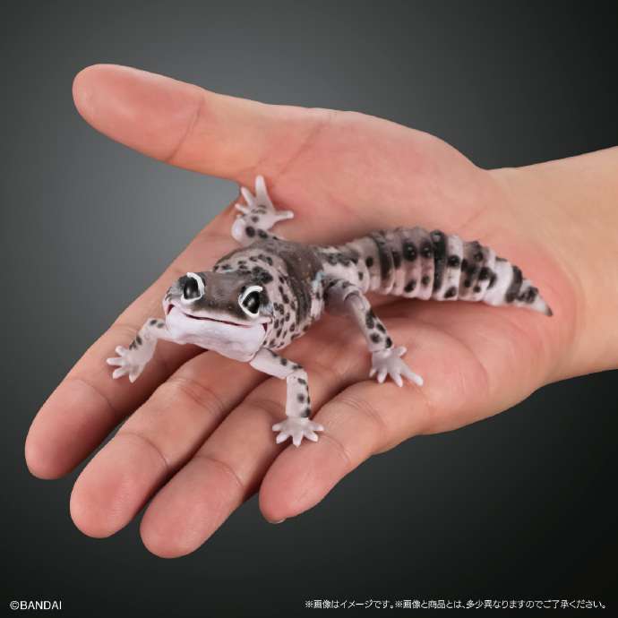 游戏动力 的想法: 万代推出「肥尾守宫」可动扭蛋,系列共4… - 知乎