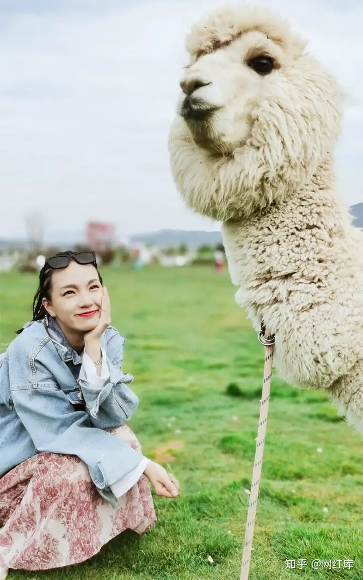 她模特出身，进军好莱坞转战电视圈不温不火，穿私服旅拍美翻天 微博网红-第30张