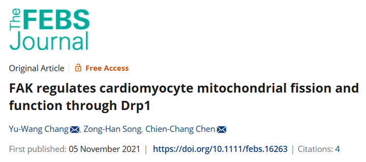 粘着斑激酶（FAK）通过动力蛋白相关蛋白1（Drp1）调控心肌细胞线粒体裂变和功能