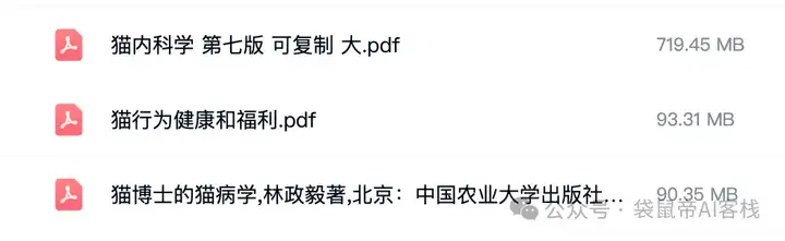 RAG天花板！从0到1打造商用Agent【喂了1G资料】
