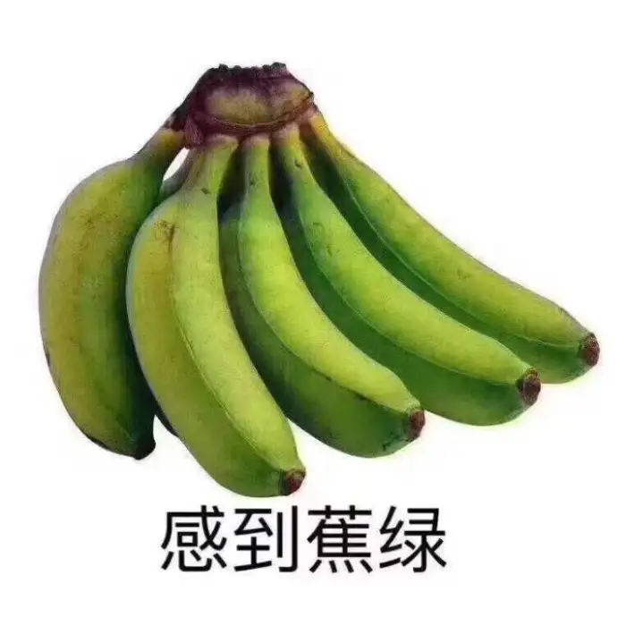 总觉得闲暇时间被浪费了，有什么方式能让我们的时间更有价值？