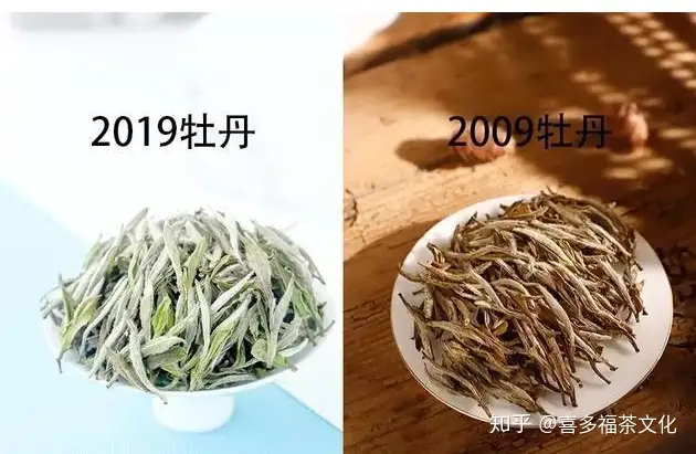 有没有适合年轻女孩子喝的茶叶？茶叶真的可以抗氧化吗？