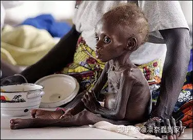 如何看待黑龙江20岁女生减肥营中猝死?各方将承担什么样的责任?-女生减肥猝死