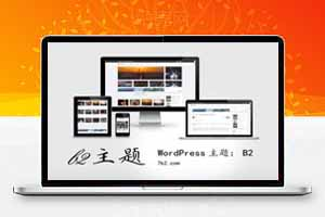 最新B2 PRO主题5.4.2开心版