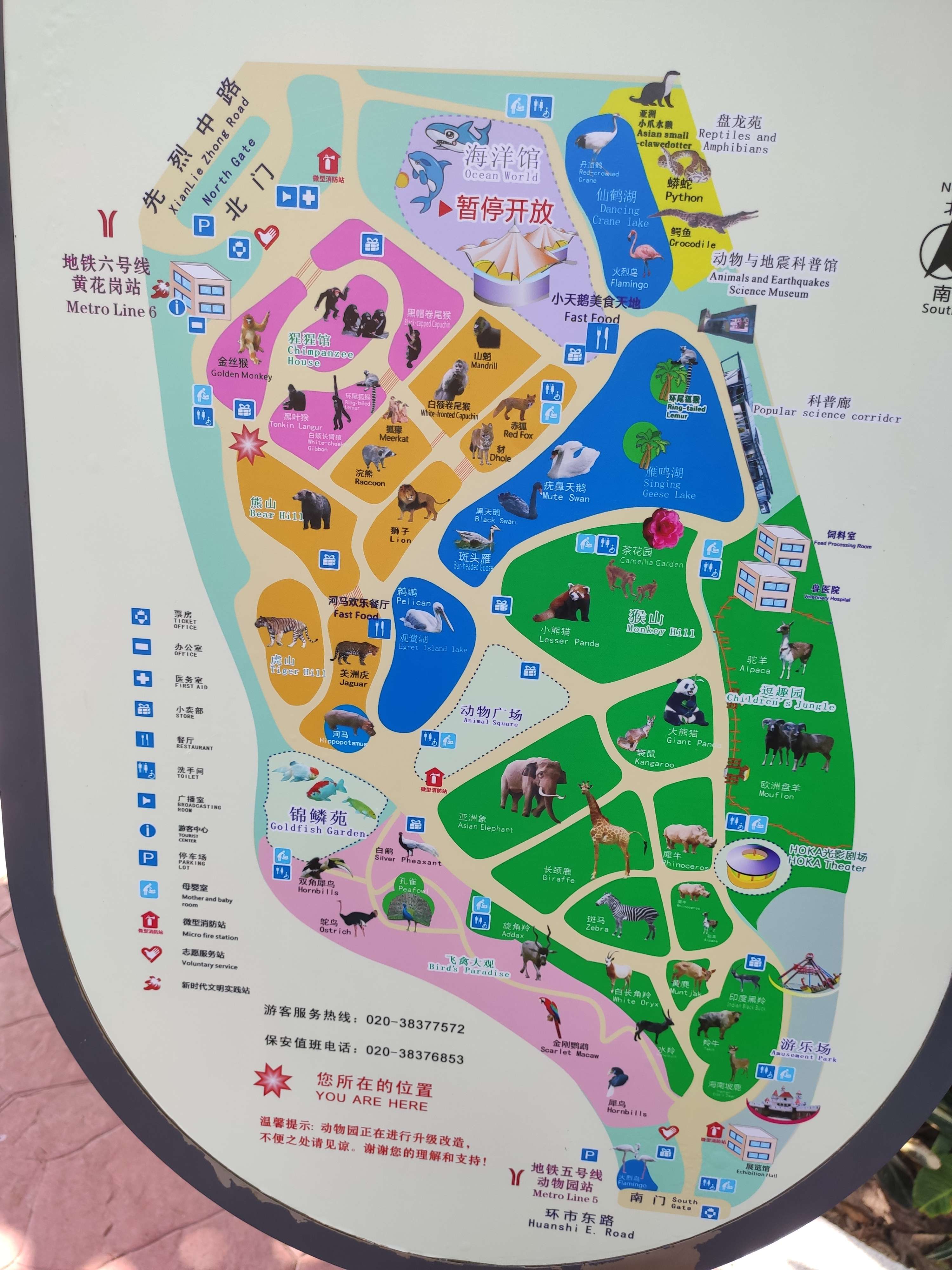 菠萝仔 的想法: 广州动物园半日游 | 平时工作经常外出经… - 知乎