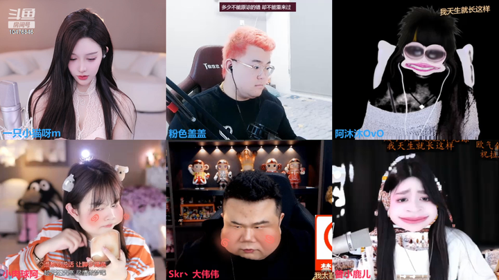 一只小猫呀m录像回放素材2024-01-30-1604|米娜娜
