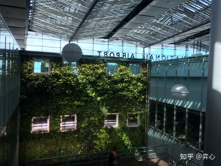 去过毛里求斯后你最大的感受是什么？